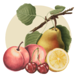 Frutta Sciroppata